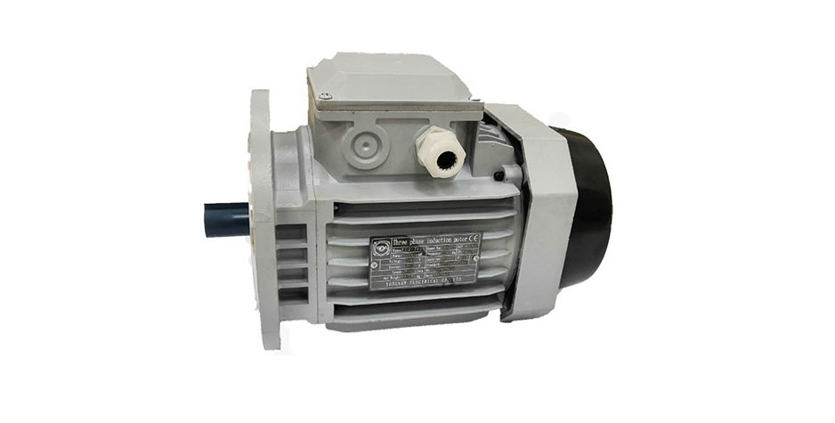 立式三相異步電動機(jī)